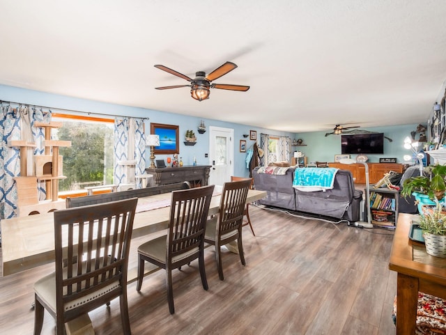 dining room featuring a ceiling fan and wood finished floors