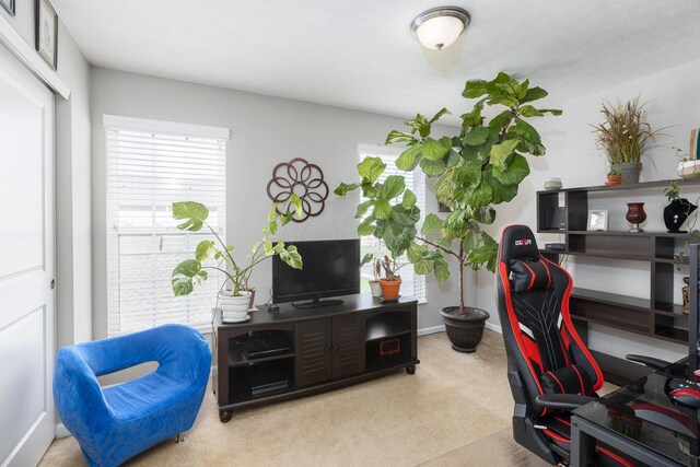 office area with carpet flooring