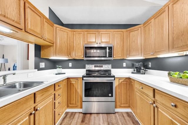 kitchen featuring a sink, light countertops, light wood-style floors, and stainless steel appliances