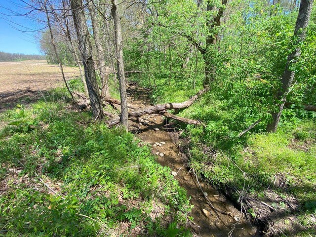 . Township Road 164, West Liberty, OH 43357
