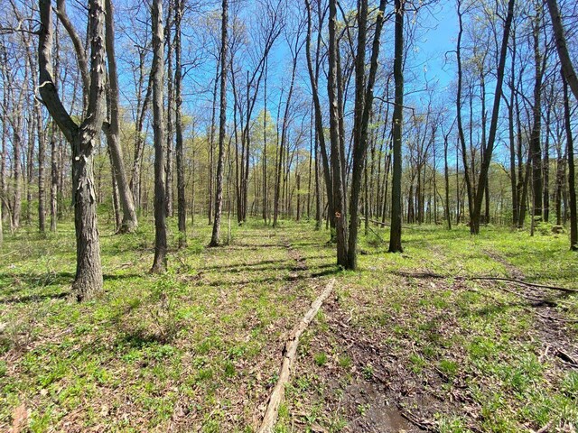 . Township Road 164, West Liberty, OH 43357