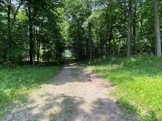 . Township Road 164, West Liberty, OH 43357