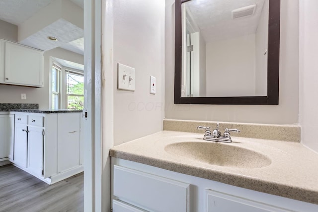 3225 Bellerive Dr, Pickerington, OH 43147 - bathroom featuring vanity, visible vents, and wood finished floors