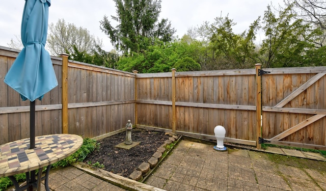 view of yard with a fenced backyard and a patio area