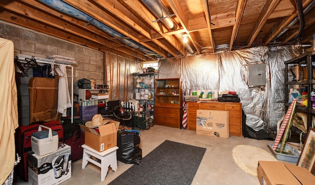 unfinished below grade area featuring electric panel