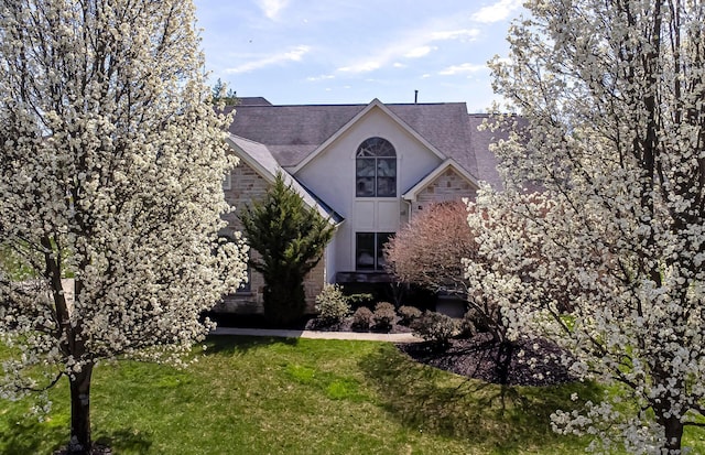view of front facade with a shingled roof, stucco siding, stone siding, and a front lawn