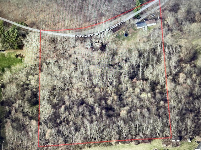 aerial view