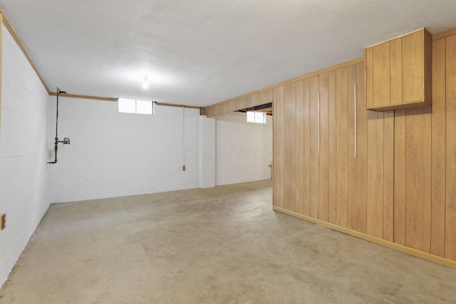 1581 Ringfield Dr, Galloway, OH 43119 - basement featuring a wealth of natural light, wood walls, and concrete block wall