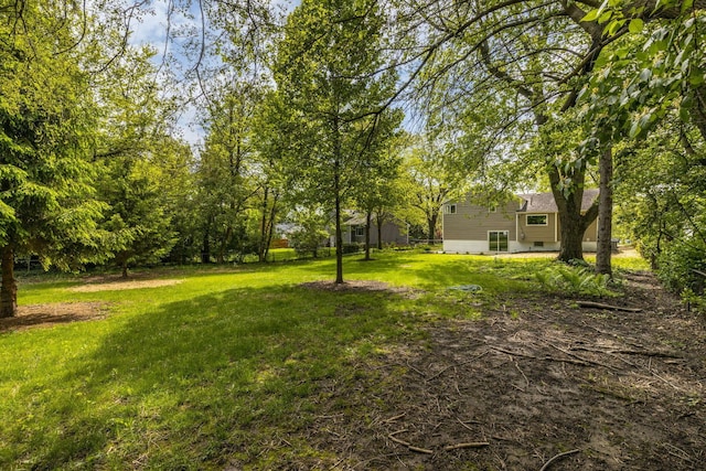 view of grassy yard
