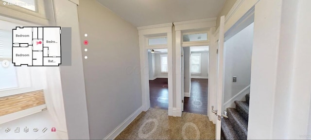 444 S 22nd St, Columbus, OH 43205 - hall with stairs, baseboards, and carpet floors