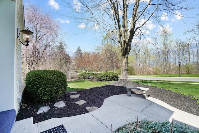 6795 Macneil Dr, Dublin, OH 43017 - view of yard
