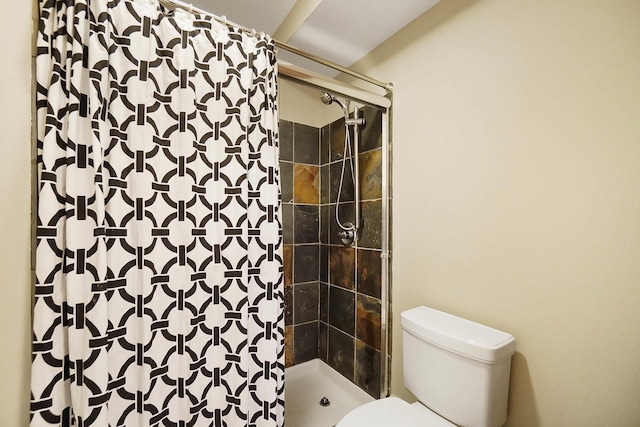 6795 Macneil Dr, Dublin, OH 43017 - full bathroom with a shower stall and toilet