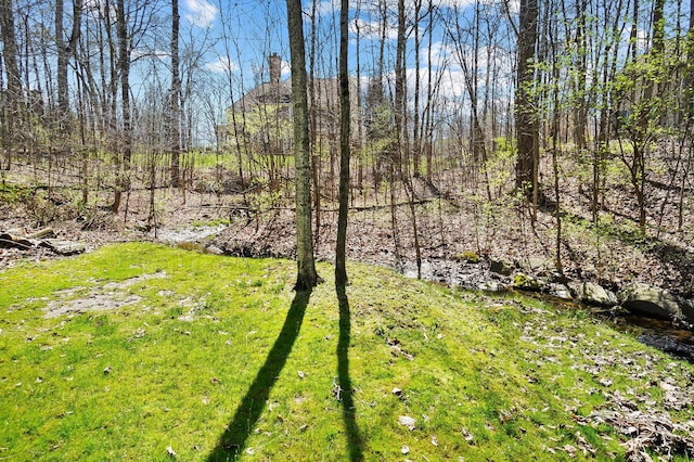 6795 Macneil Dr, Dublin, OH 43017 - view of yard featuring a forest view
