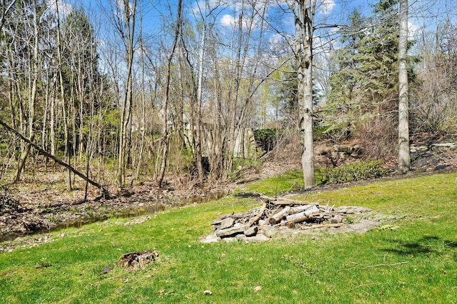 6795 Macneil Dr, Dublin, OH 43017 - view of yard featuring a wooded view