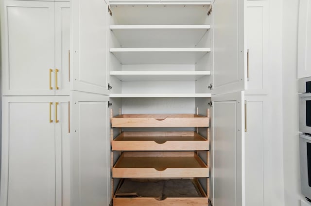 10007 Allen Dr, Dublin, OH 43017 - view of closet
