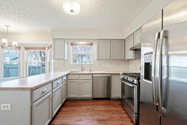 kitchen featuring a peninsula, under cabinet range hood, wood finished floors, a sink, and stainless steel appliances