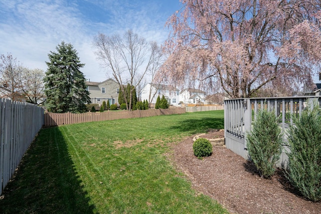 view of yard featuring a fenced backyard
