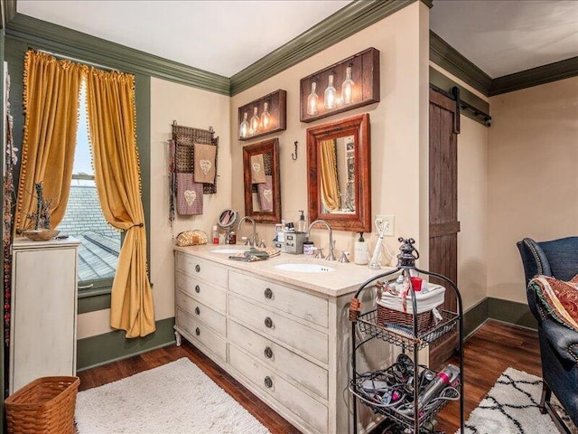 bathroom featuring wood finished floors, a sink, and ornamental molding