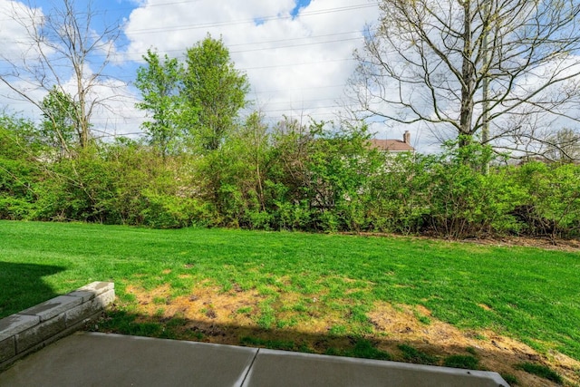 858 Blackcomb Dr, Cincinnati, OH 45244 - view of yard