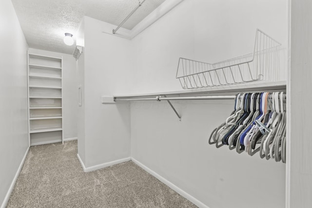 walk in closet featuring carpet