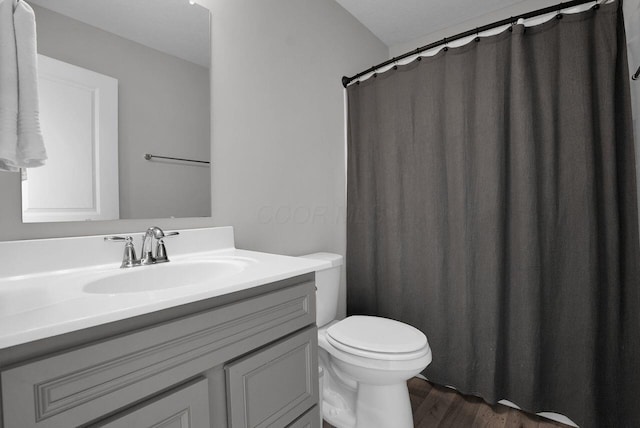 bathroom with vanity, toilet, and wood finished floors