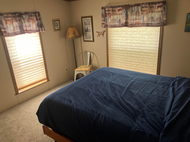 bedroom featuring carpet
