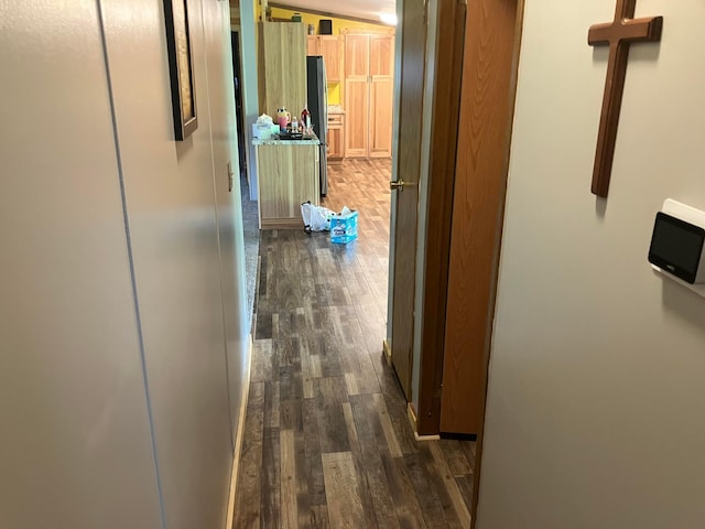 hallway featuring dark wood-type flooring