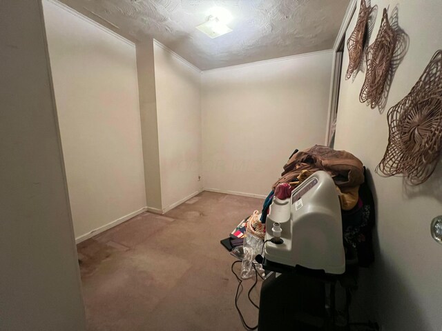1054 S Hampton Rd, Columbus, OH 43227 - interior space with a textured ceiling, baseboards, and ornamental molding