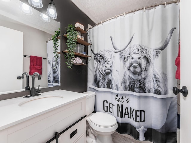 bathroom with vanity, a textured ceiling, and toilet