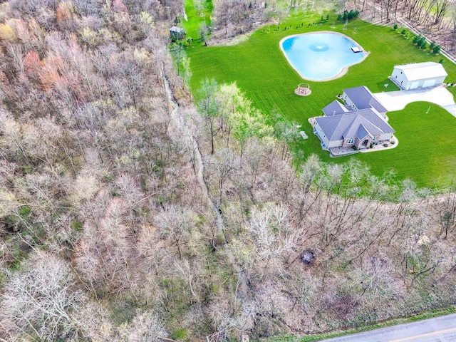 bird's eye view