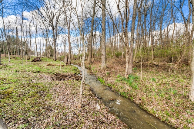 view of local wilderness