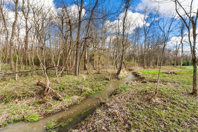 view of local wilderness
