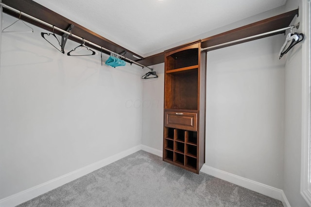 walk in closet with carpet floors