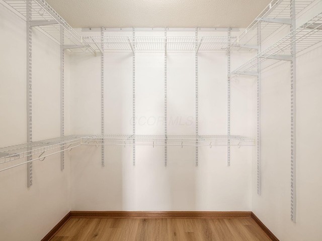 spacious closet with light wood finished floors