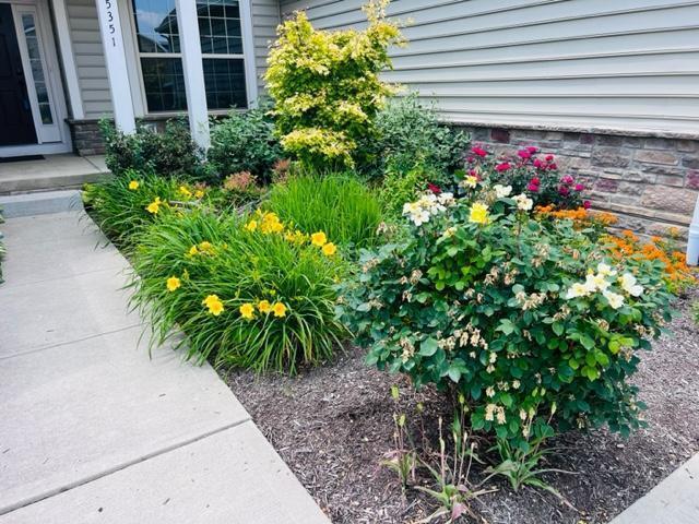 5351 Lilac Ave, Grove City, OH 43123 - exterior view