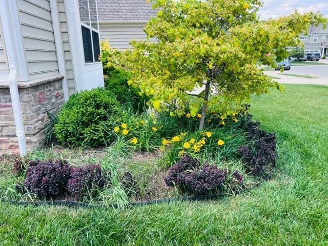5351 Lilac Ave, Grove City, OH 43123 - view of green lawn