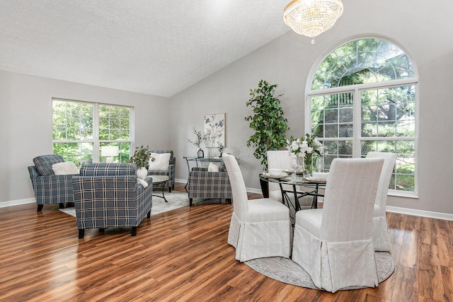 1148 Challis Springs Dr, New Albany, OH 43054 - dining room with lofted ceiling, wood finished floors, a chandelier, baseboards, and a textured ceiling