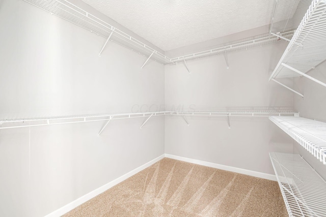 1148 Challis Springs Dr, New Albany, OH 43054 - spacious closet with light carpet