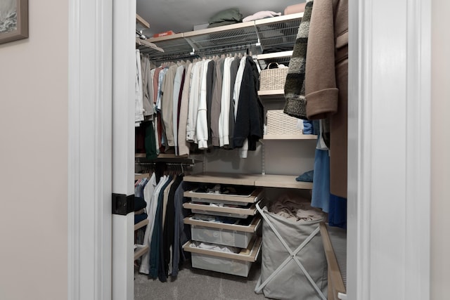 spacious closet with carpet floors
