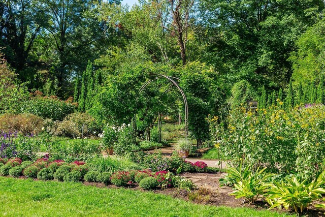 277 Cherrington Rd, Westerville, OH 43081 - view of yard