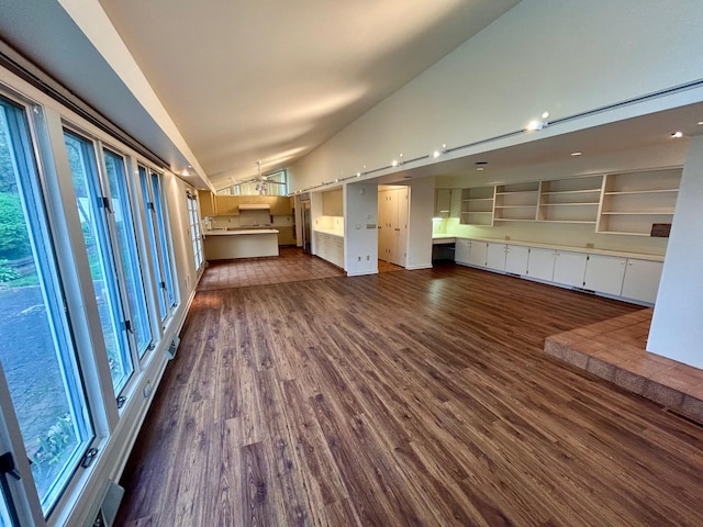 interior space featuring vaulted ceiling and dark wood-type flooring