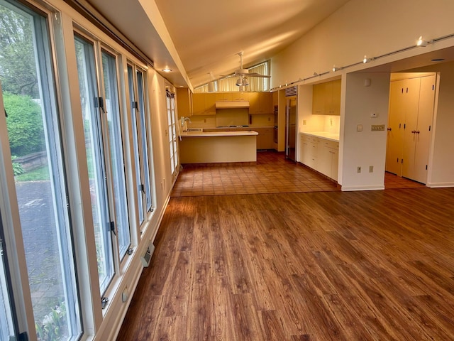 interior space featuring vaulted ceiling, dark wood-style floors, and a wealth of natural light