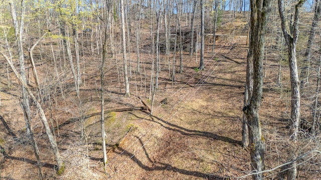 view of landscape