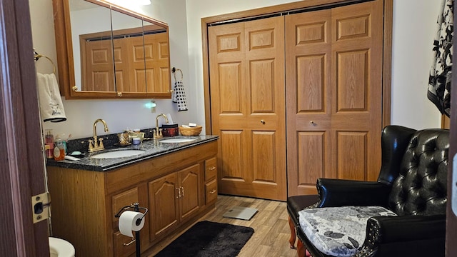 620 Lewis St, Washington Court House, OH 43160 - bathroom featuring wood finished floors, vanity, and a closet