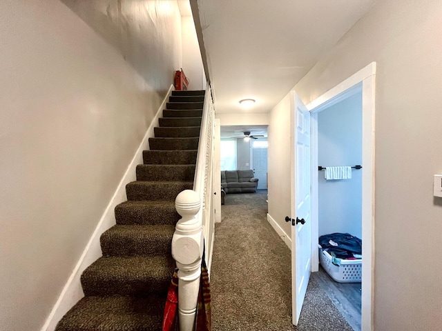 stairs featuring carpet floors, baseboards, and a ceiling fan