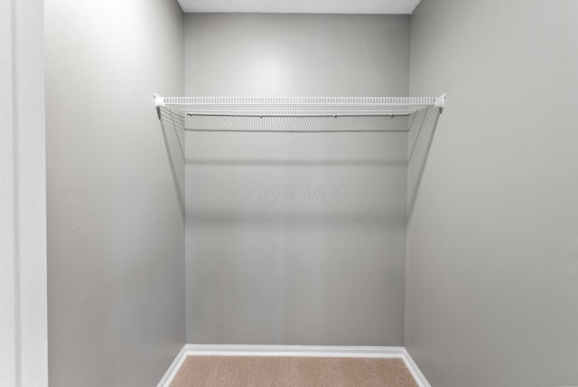 121 Granville St, Pataskala, OH 43062 - spacious closet with carpet flooring