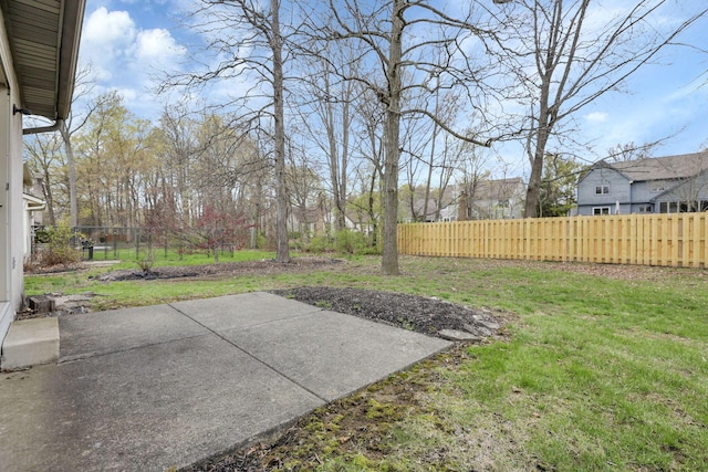 view of yard with a patio and fence private yard