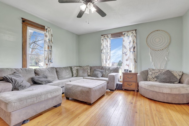 12330 Palmer Rd, Mount Perry, OH 43760 - photo 16