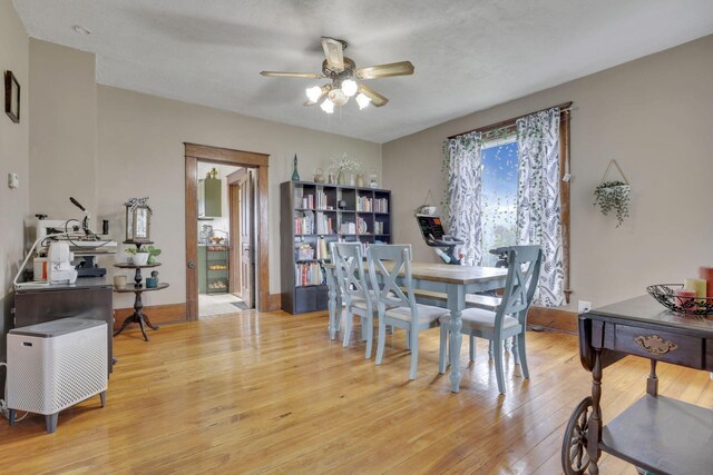 12330 Palmer Rd, Mount Perry, OH 43760 - photo 13