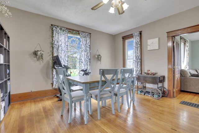 12330 Palmer Rd, Mount Perry, OH 43760 - photo 12